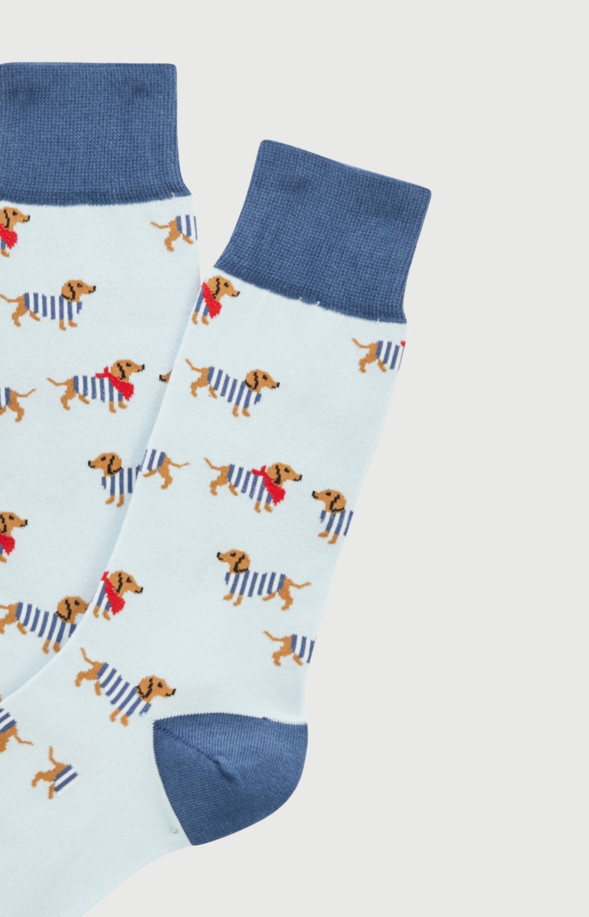 arthur-bob-chaussettes-coton-teckel-bleu-ciel-40-46-fantaisie image 2