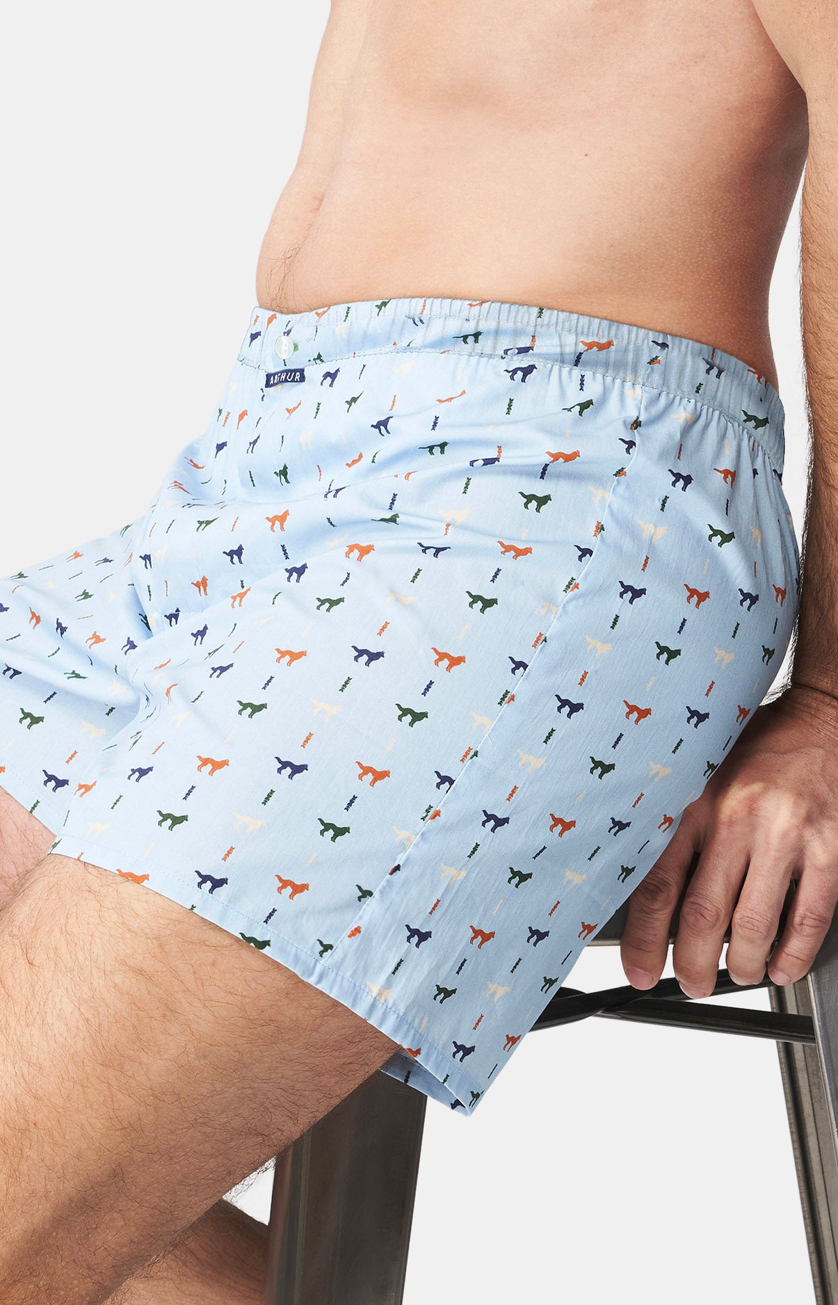 arthur-le-club-jeune-loup-cale-on-coton-ciel-s-xxl image 5