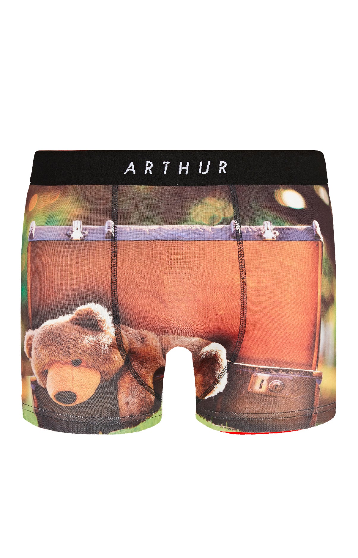 arthur-bob-big-teddy-boxer-homme-marron-polyester image 3