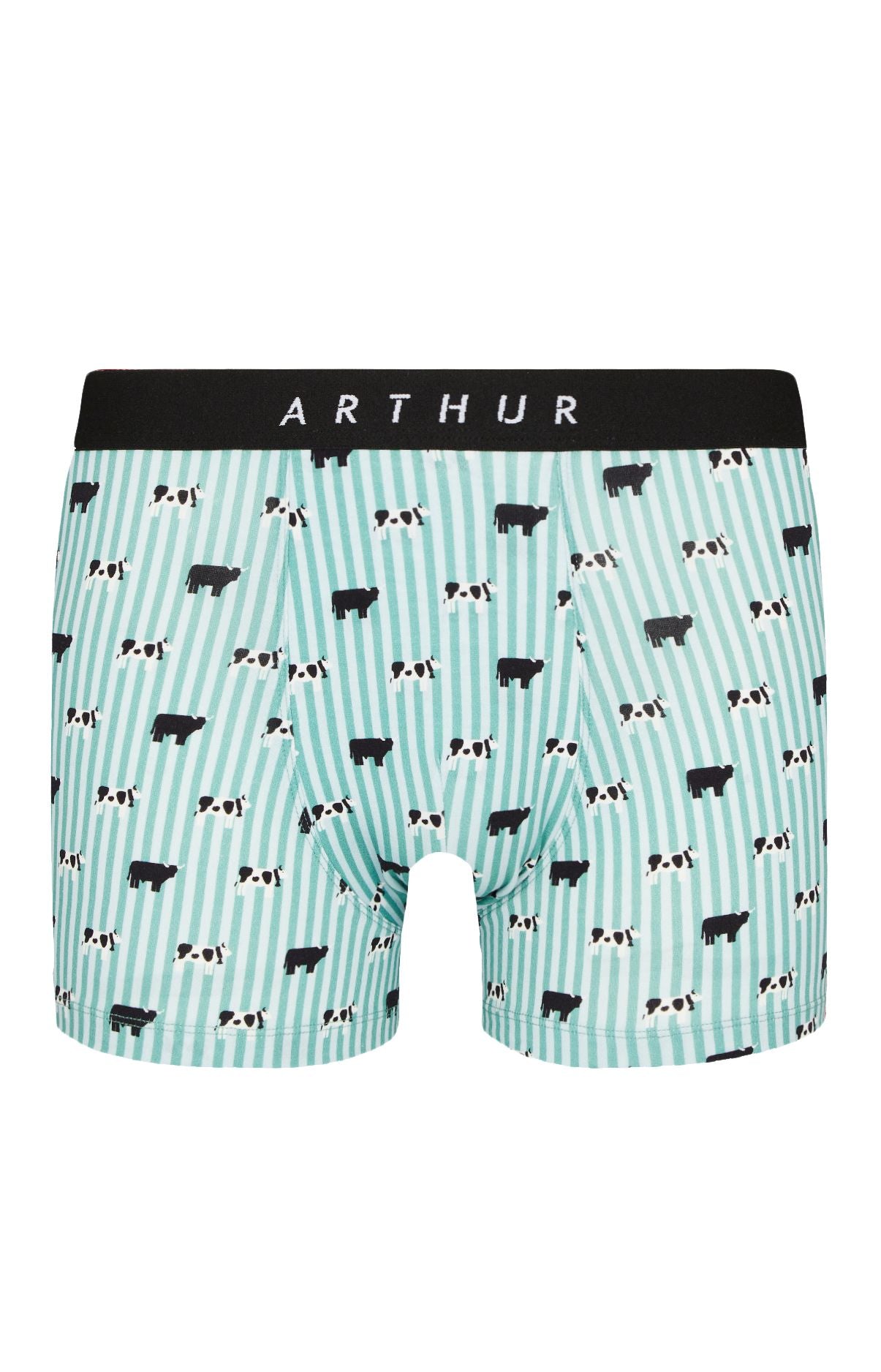 arthur-bob-meeuuh-boxer-coton-bio-vert image 3