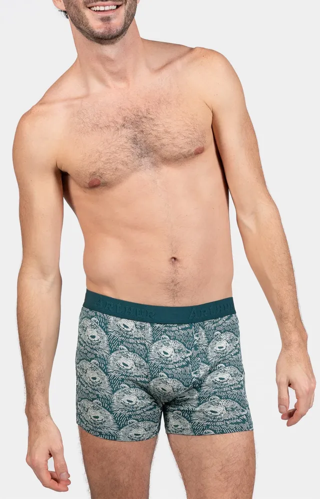 arthur-bob-ours-des-montagnes-boxer-homme-gris image 1