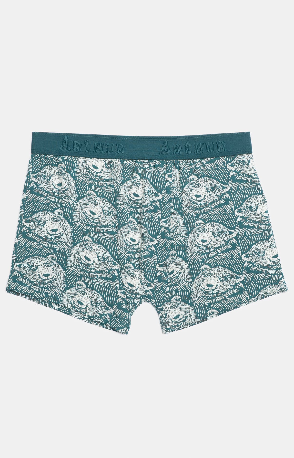 arthur-bob-ours-des-montagnes-boxer-homme-gris image 3