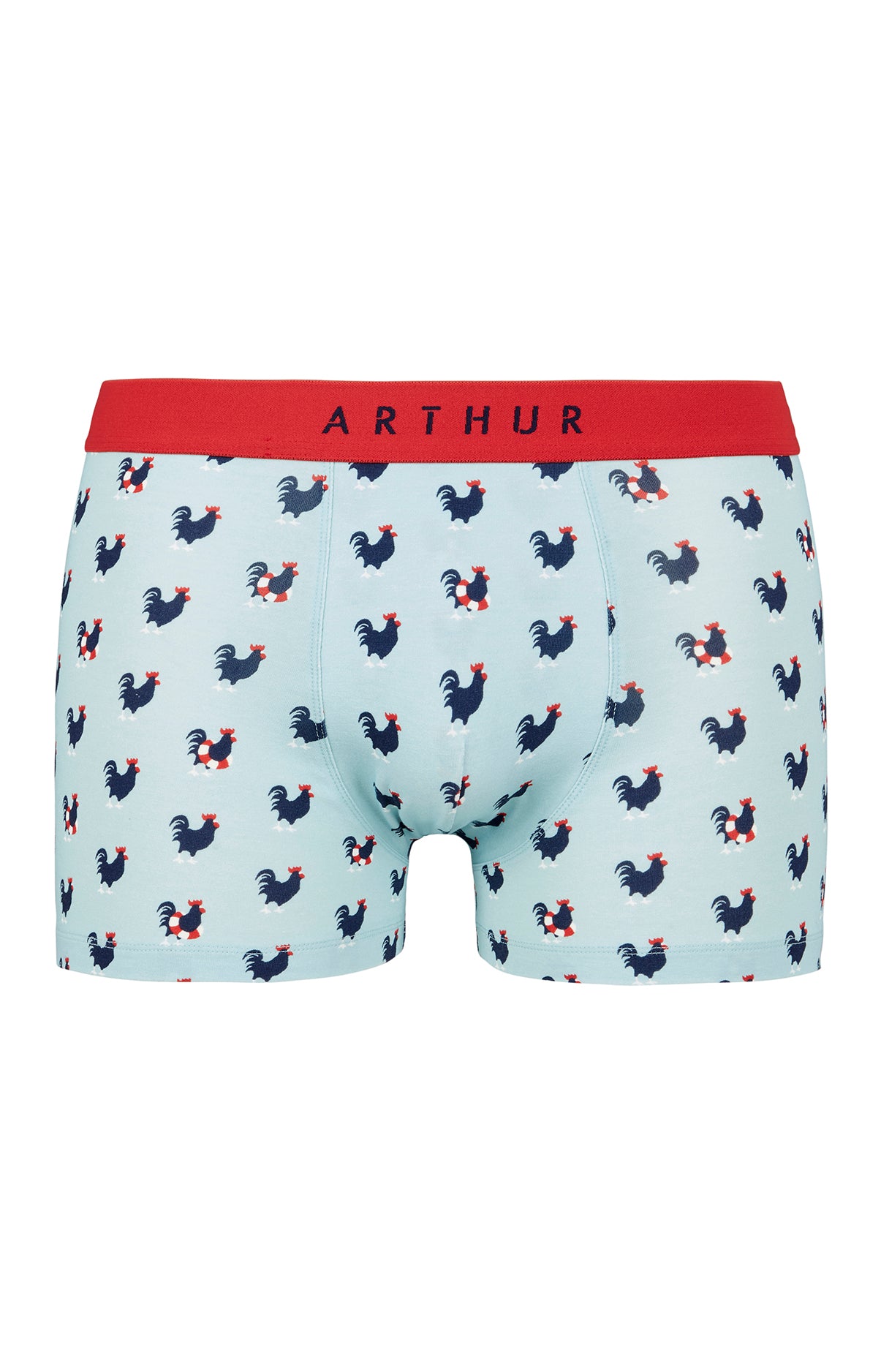 arthur-bob-coq-boxer-homme-bleu-ciel-coton-bio image 3