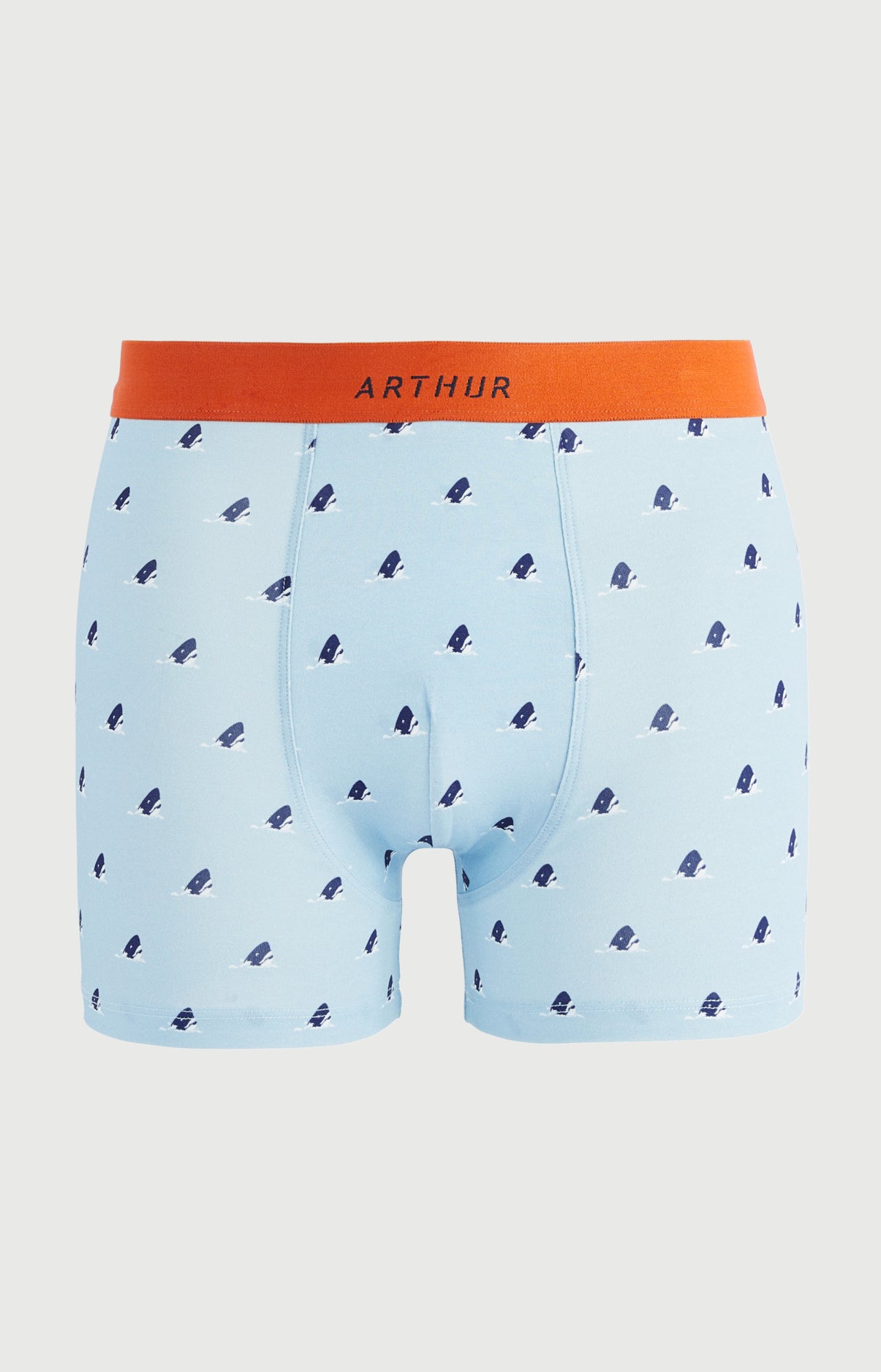 arthur-bob-boxer-dents-de-l-amour-ciel-coton-bio image 3