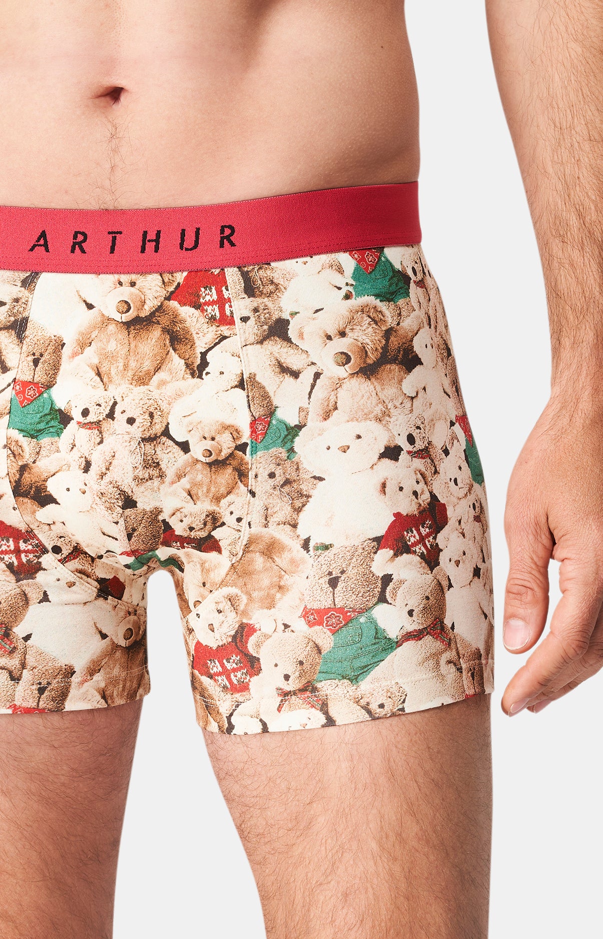 arthur-bob-teddy-bear-boxer-homme-brun-coton-bio image 1