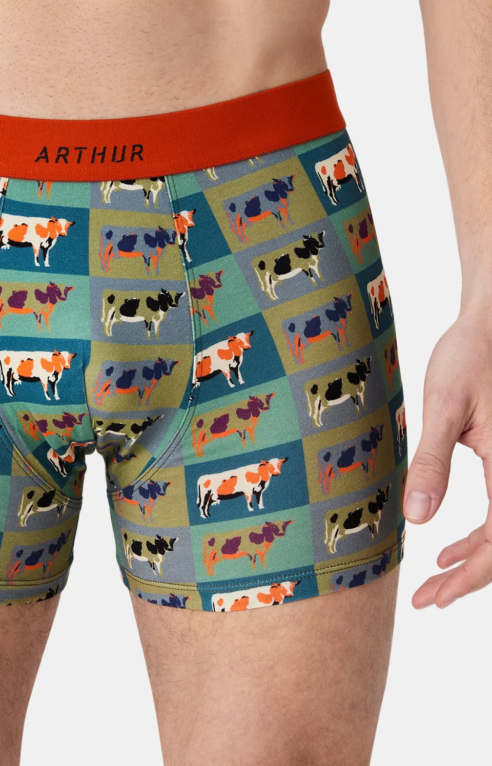 arthur-bob-pop-vache-boxer-homme-coton-bio-multicolore image 1