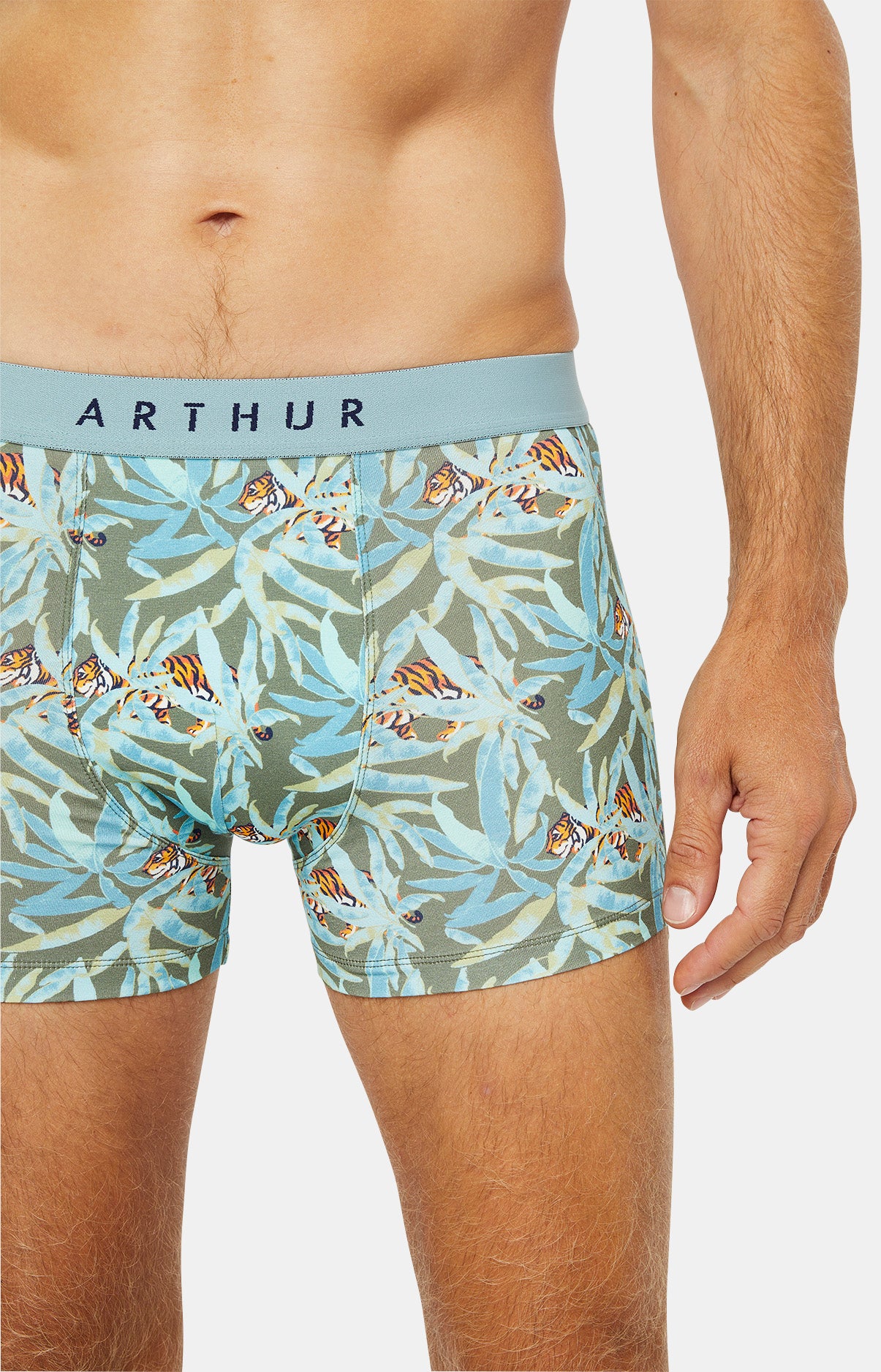 arthur-bob-boxer-coton-bio-kaki-tigre image 2