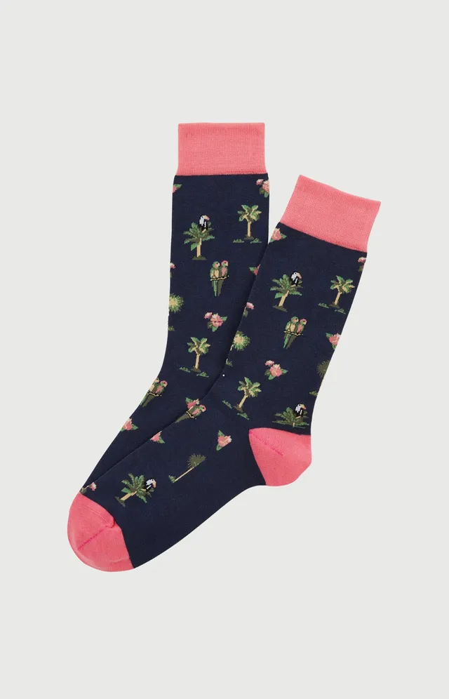 arthur-bob-perroquet-chaussettes-homme-marine-coton image 1