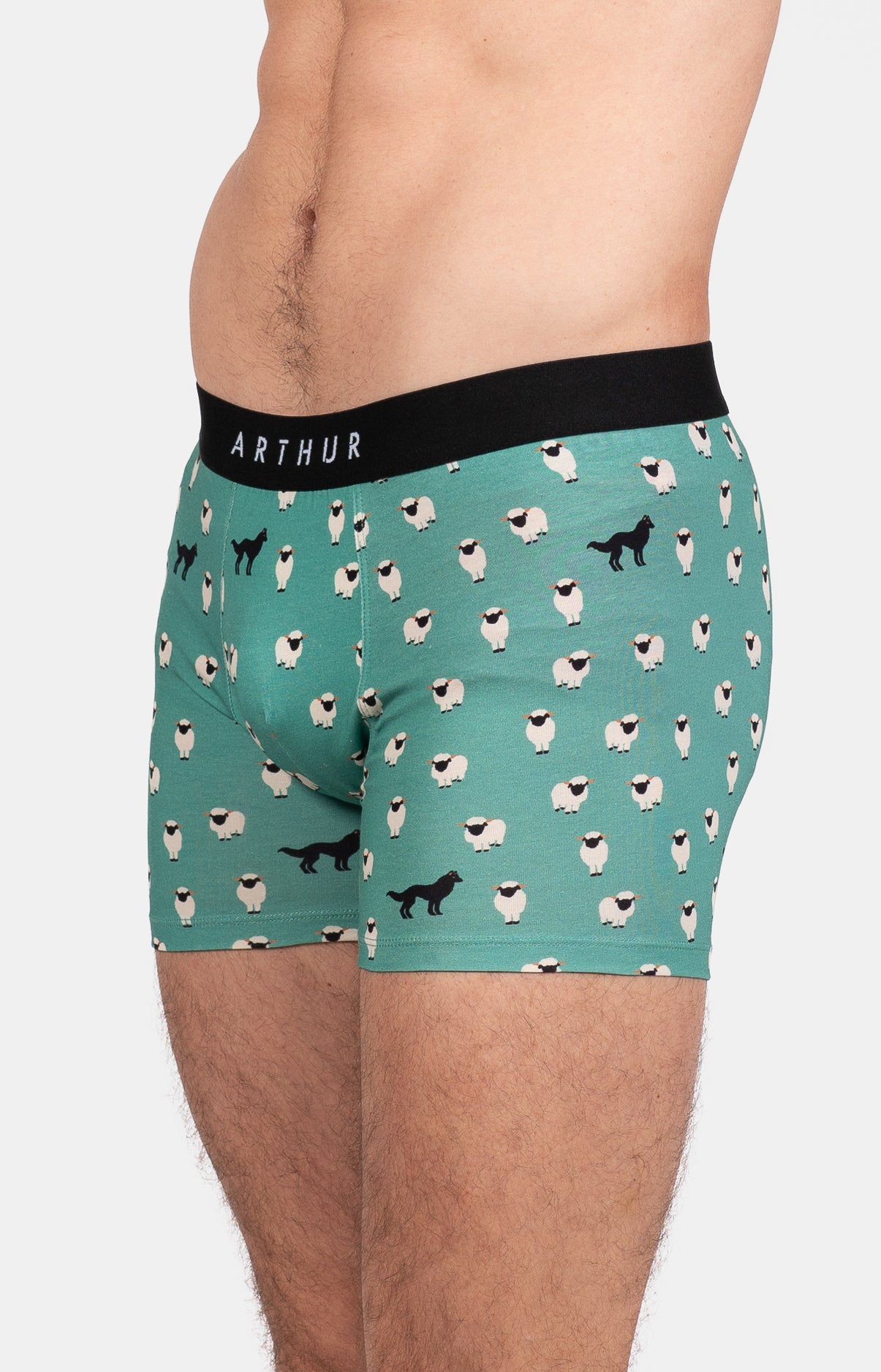 arthur-bob-mouton-vert-boxer-homme-vert-coton-bio image 5