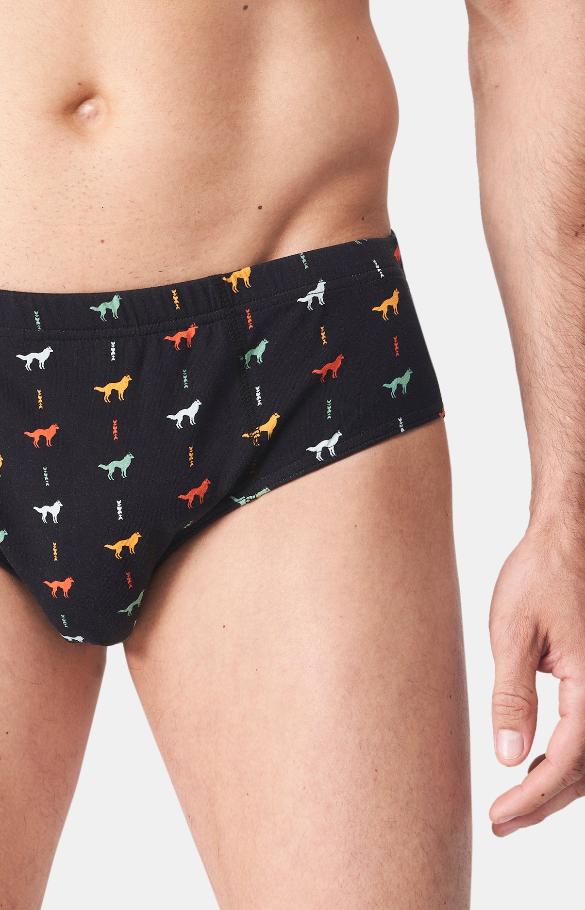 arthur-le-club-jeune-loup-slip-coton-noir-jersey-bio image 2
