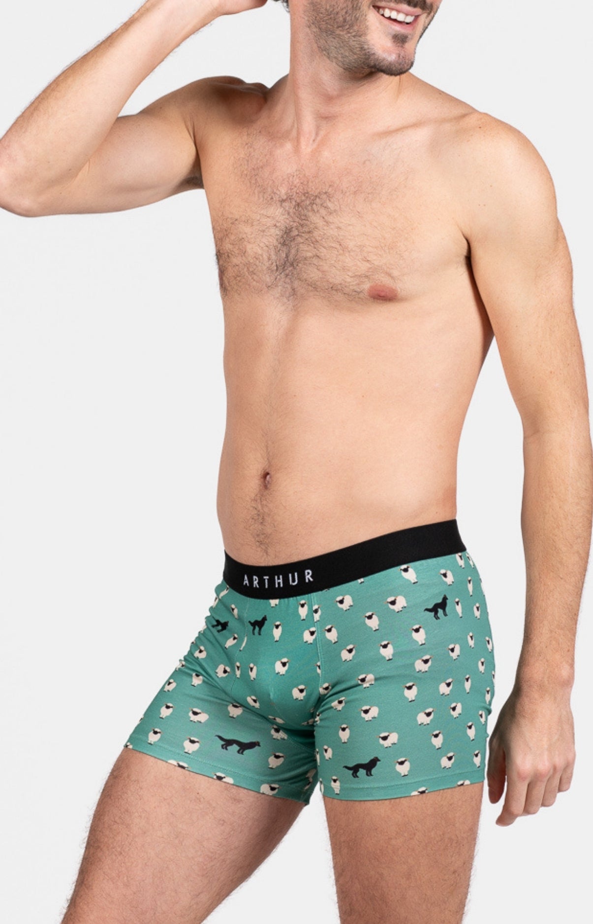 arthur-bob-mouton-vert-boxer-homme-vert-coton-bio image 4