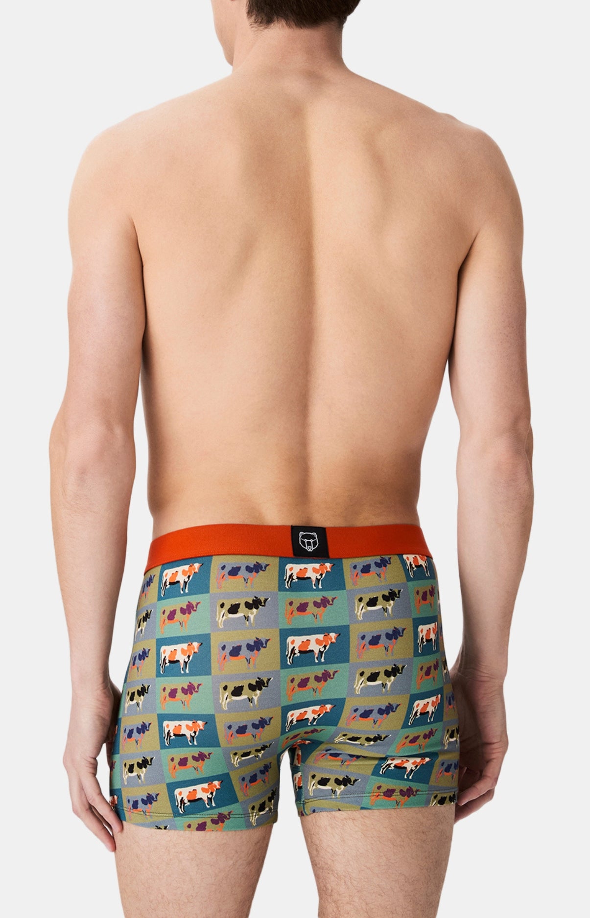 arthur-bob-pop-vache-boxer-homme-coton-bio-multicolore image 6