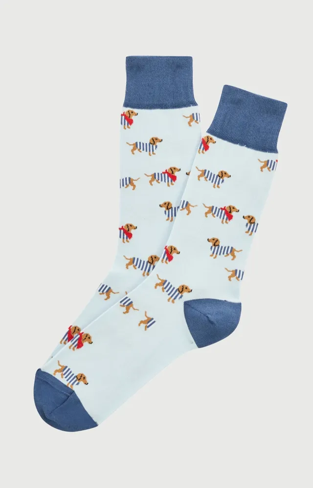 arthur-bob-chaussettes-coton-teckel-bleu-ciel-40-46-fantaisie image 1