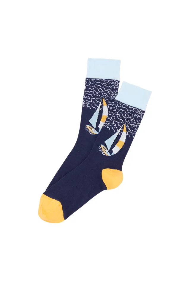 arthur-bob-chaussettes-coton-homme-marine-capitaine-flemme image 1
