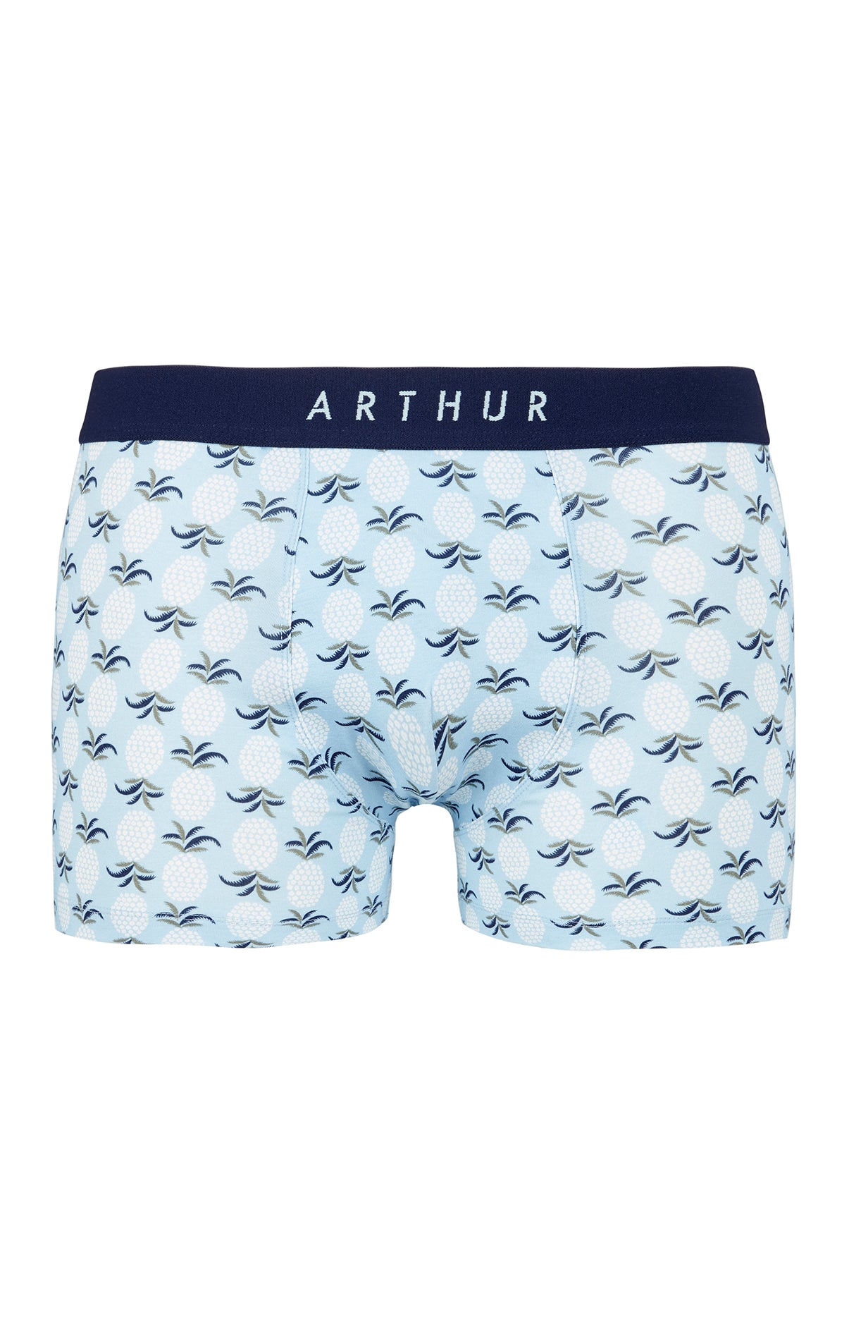 arthur-bob-ananas-boxer-coton-bio-ciel image 3