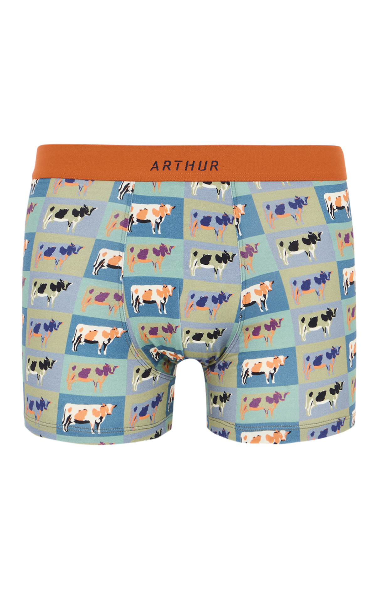 arthur-bob-pop-vache-boxer-homme-coton-bio-multicolore image 3