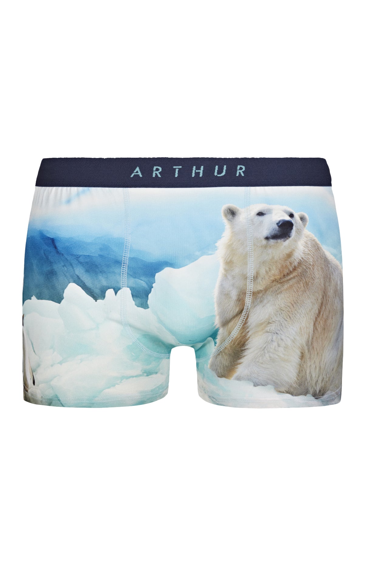 arthur-bob-banquise-boxer-homme-ice-polyester-stretch image 3