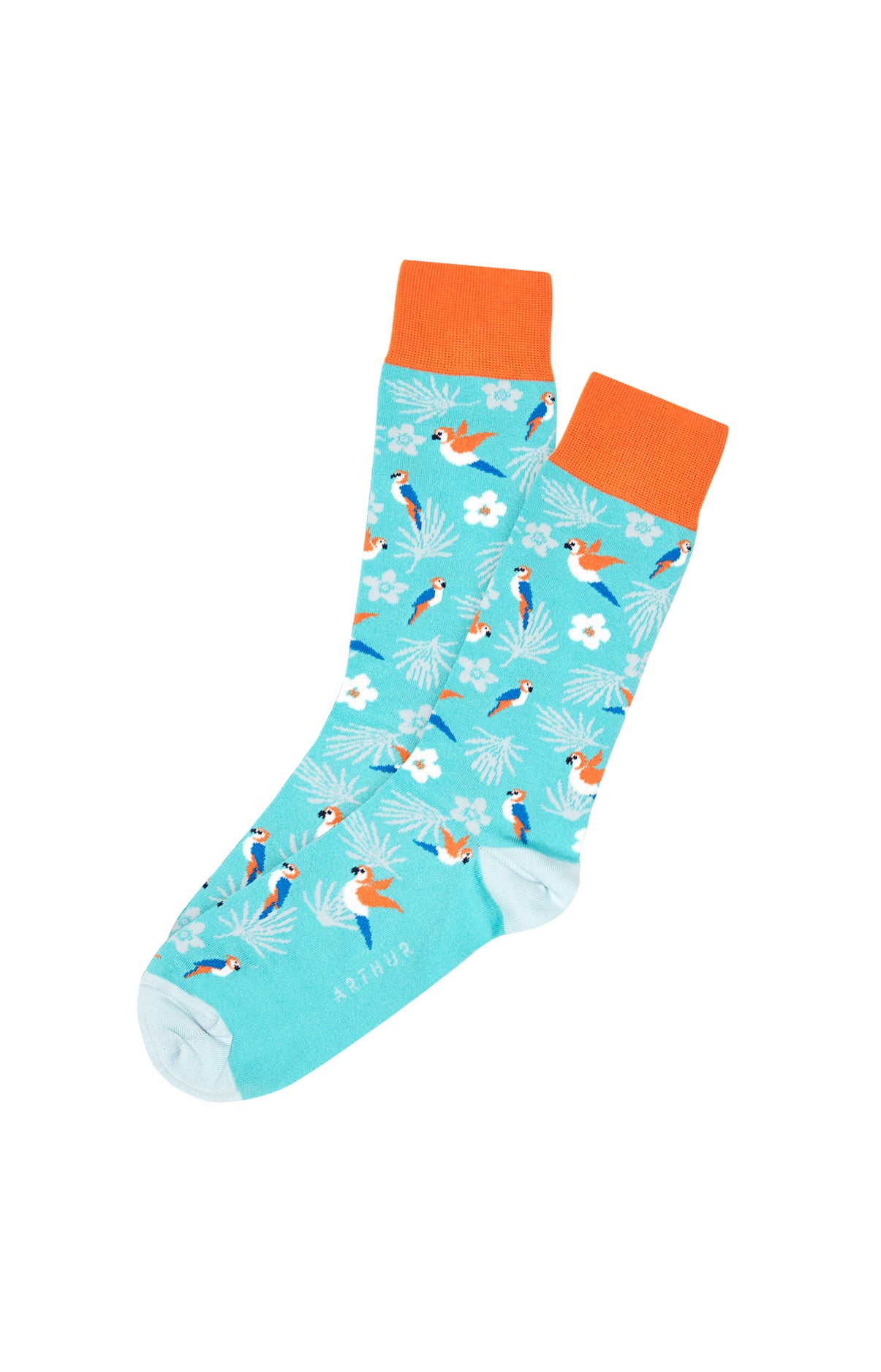 arthur-bob-perroquet-jade-chaussettes-homme-coton-40-46 image 2