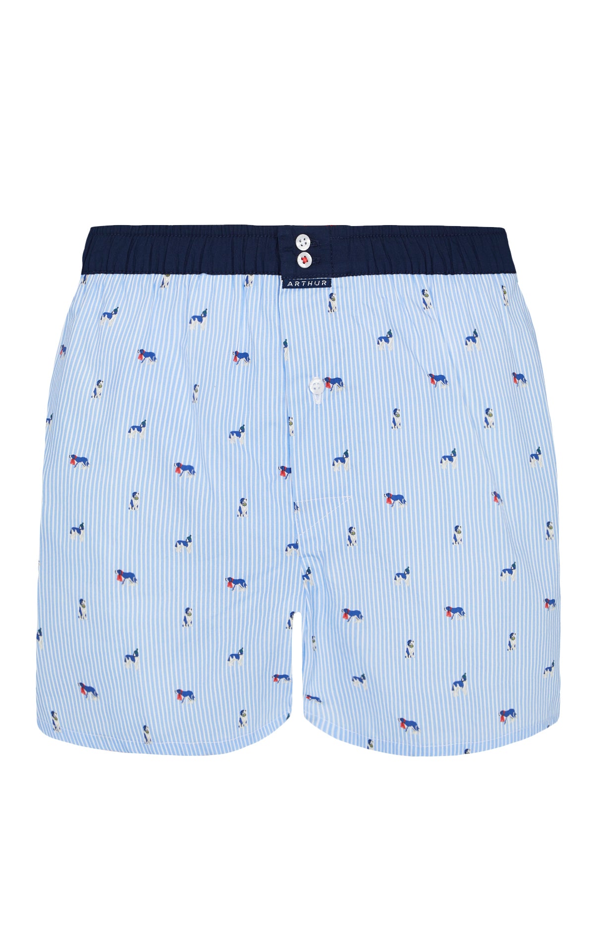arthur-le-club-n-1011-cale-on-homme-bleu-ciel-coton-bio image 3