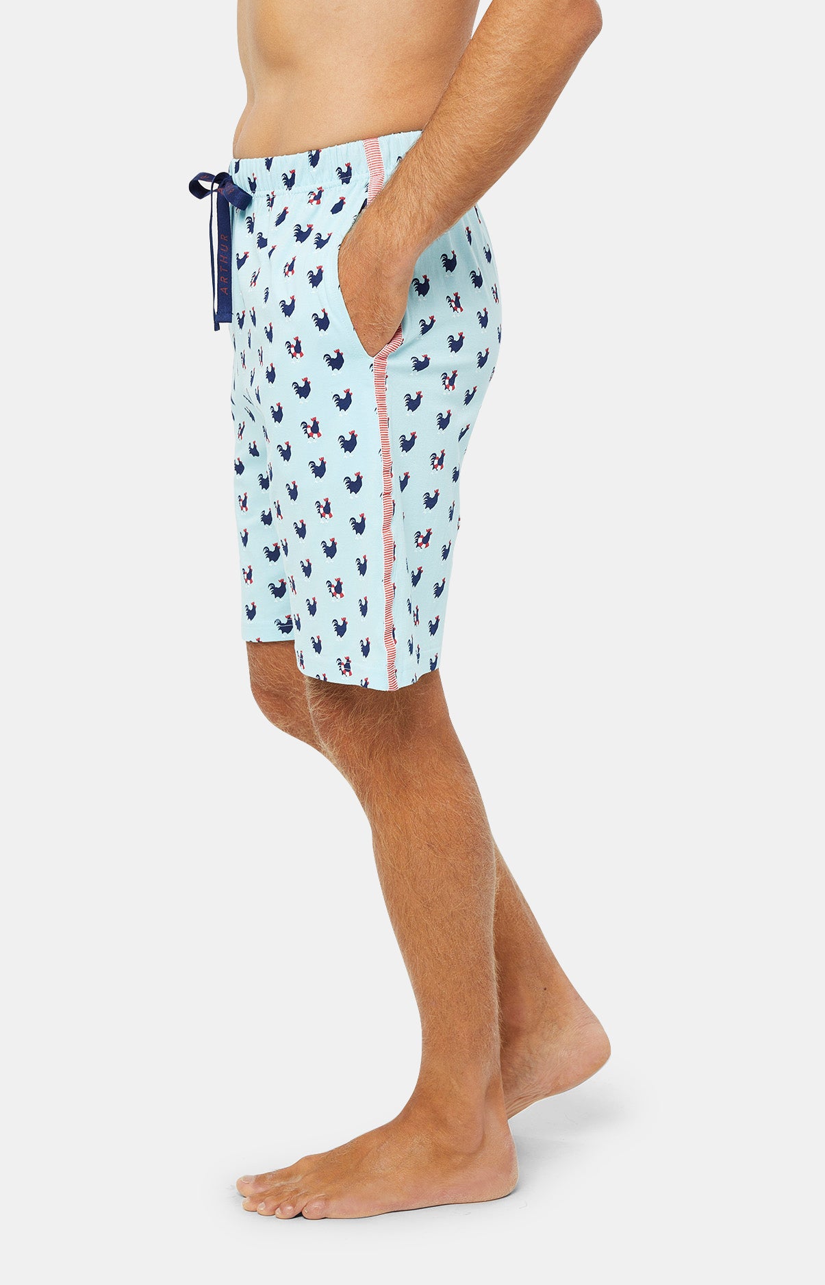arthur-bob-coq-pyjashort-homme-coton-bio-ciel image 5