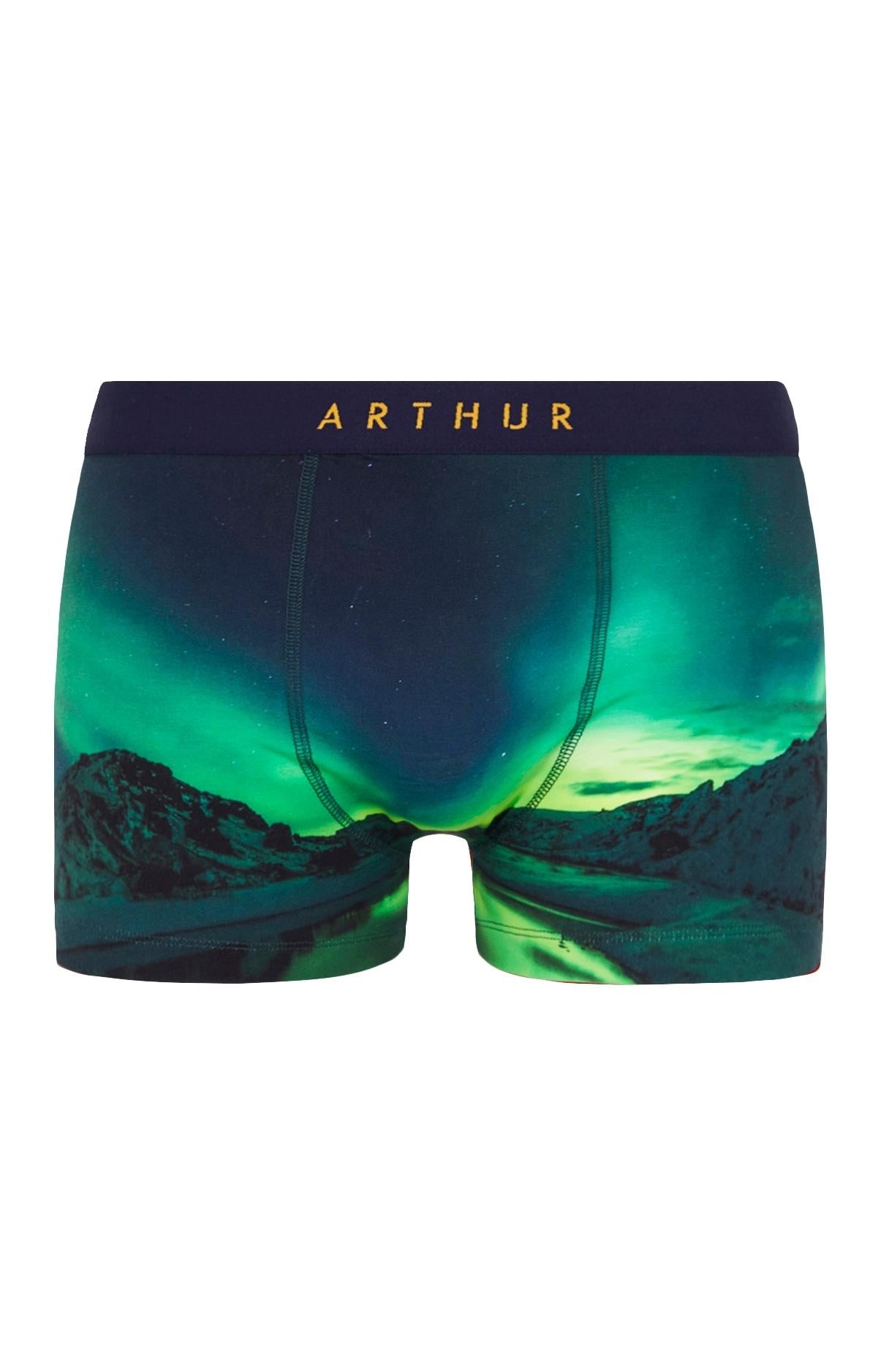 arthur-bob-bor-al-boxer-vert-coton-bio-homme image 3