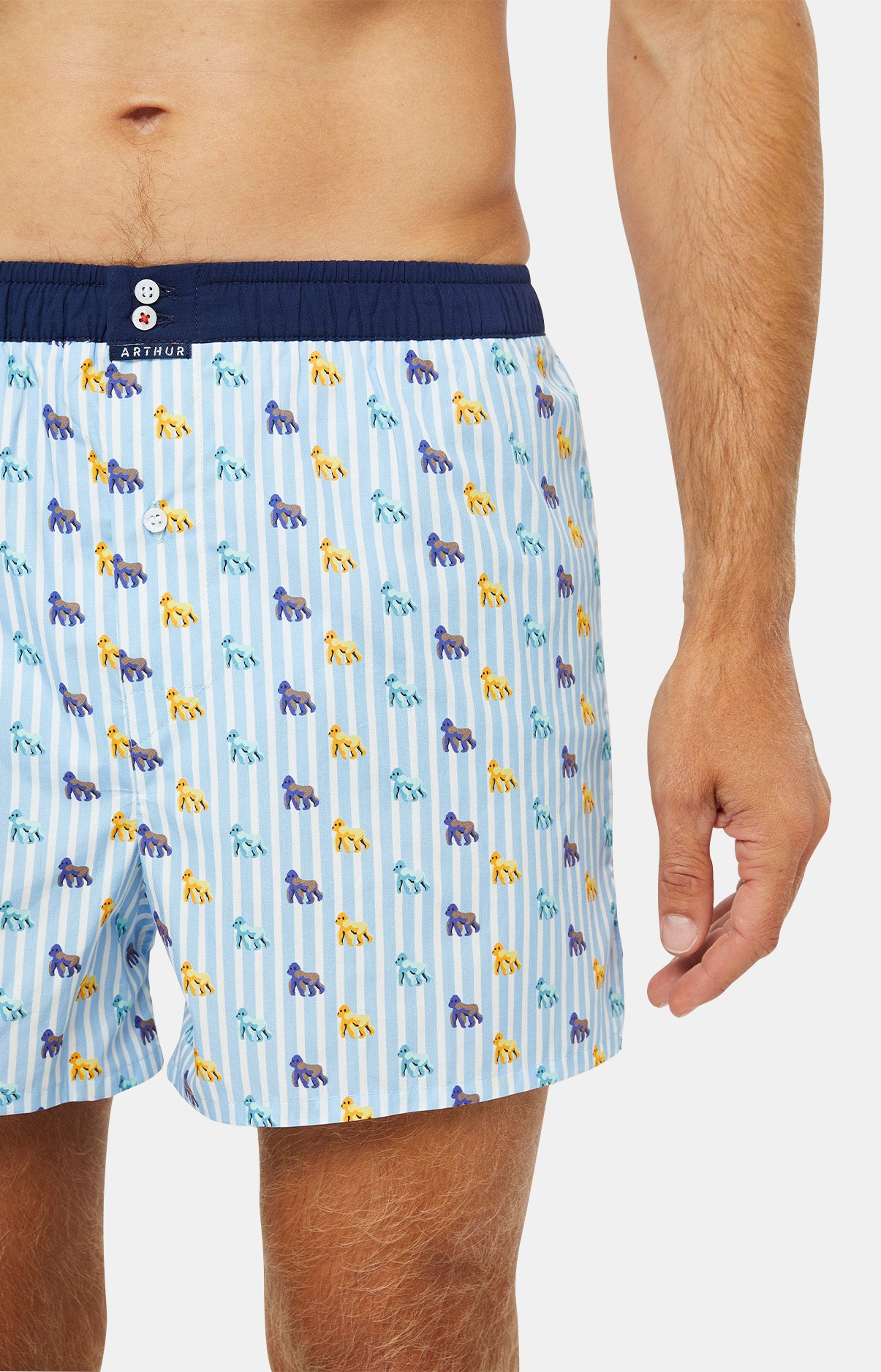 arthur-le-club-n-1044-cale-on-homme-ciel-coton-bio image 2