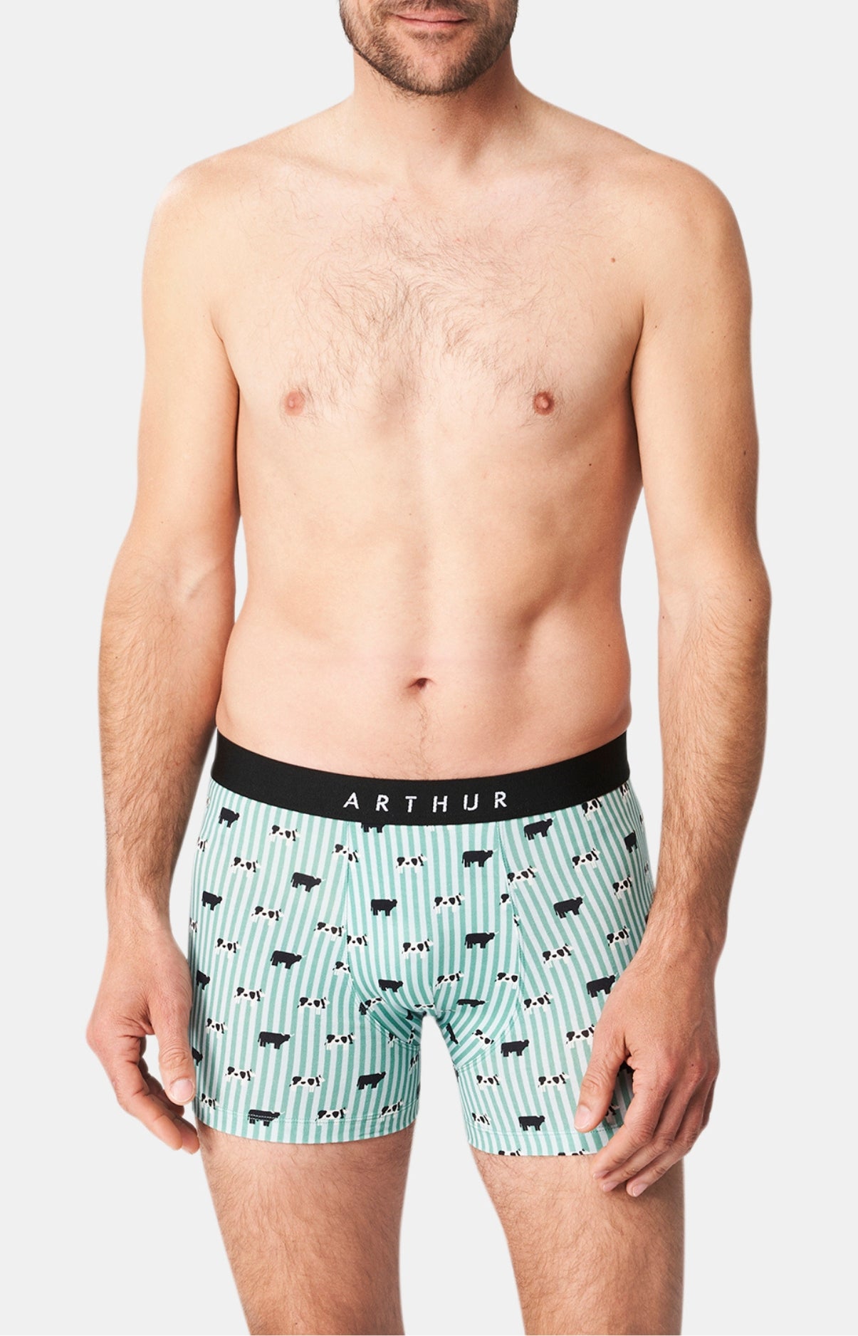 arthur-bob-meeuuh-boxer-coton-bio-vert image 2
