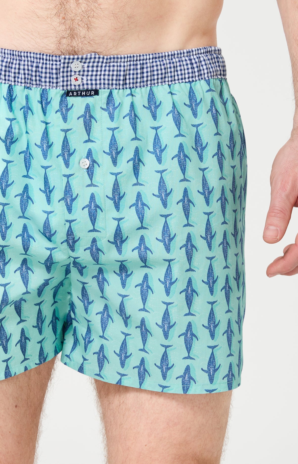 arthur-le-club-n-1209-cale-on-homme-jade-baleines image 1