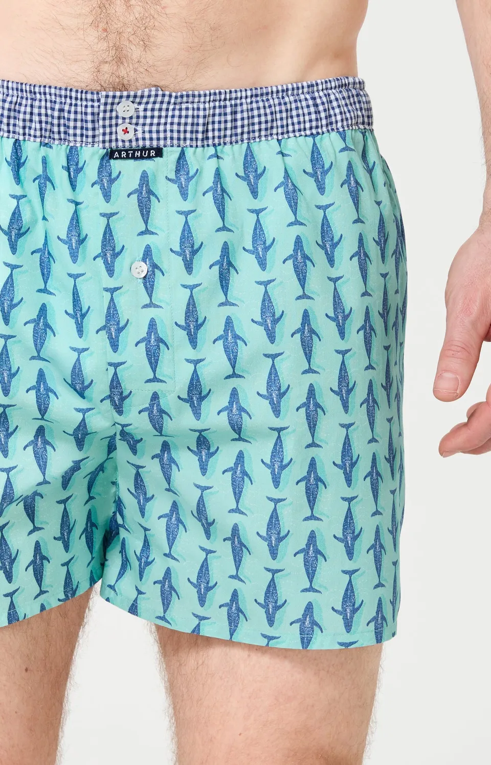 arthur-le-club-n-1209-cale-on-homme-jade-baleines image 1