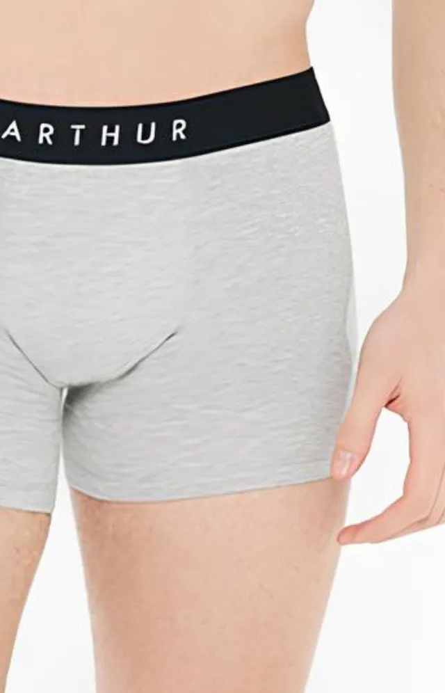 arthur-bob-tradi-boxer-coton-bio-homme-gris image 1
