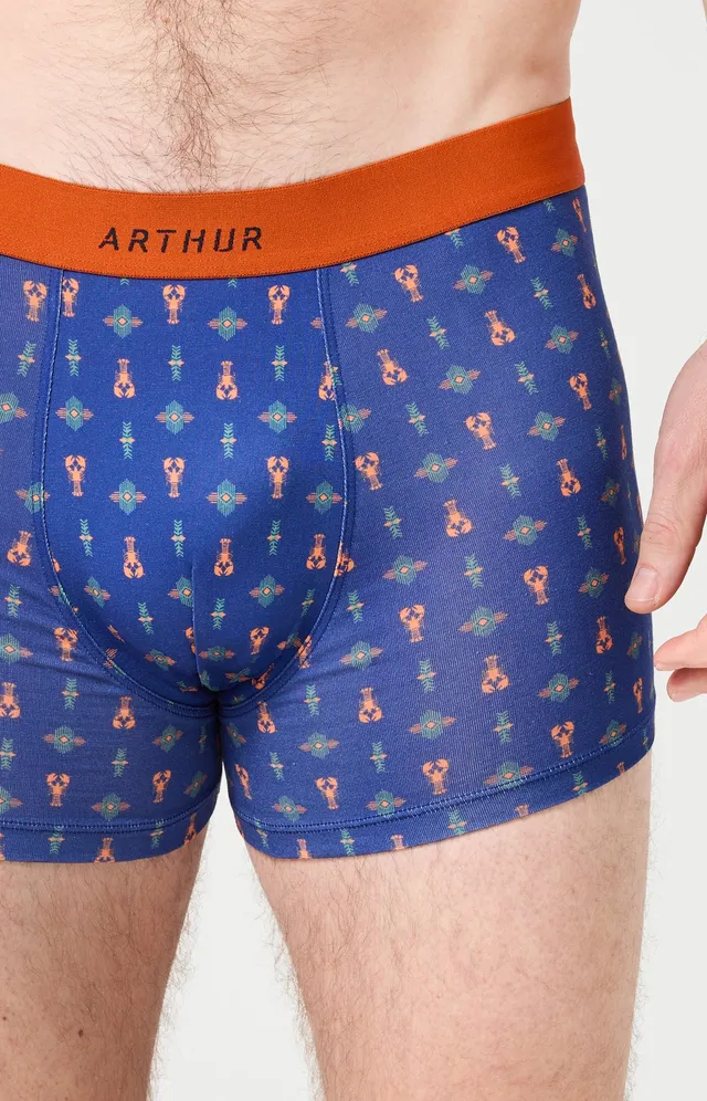 arthur-bob-pince-sans-rire-boxer-homme-marine-coton image 1