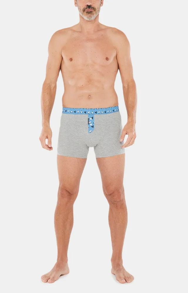 arthur-bob-club-boxer-gris-coton-bio-uni image 1