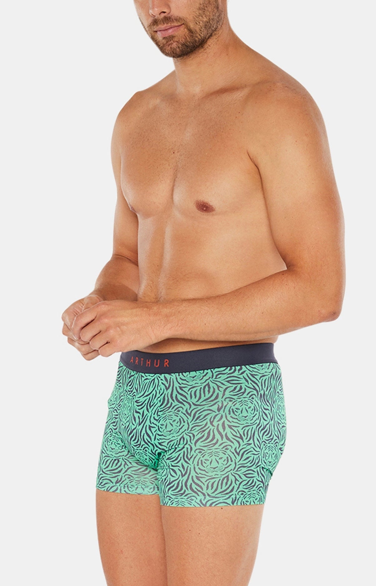 arthur-bob-boxer-tigre-homme-coton-bio-vert image 2