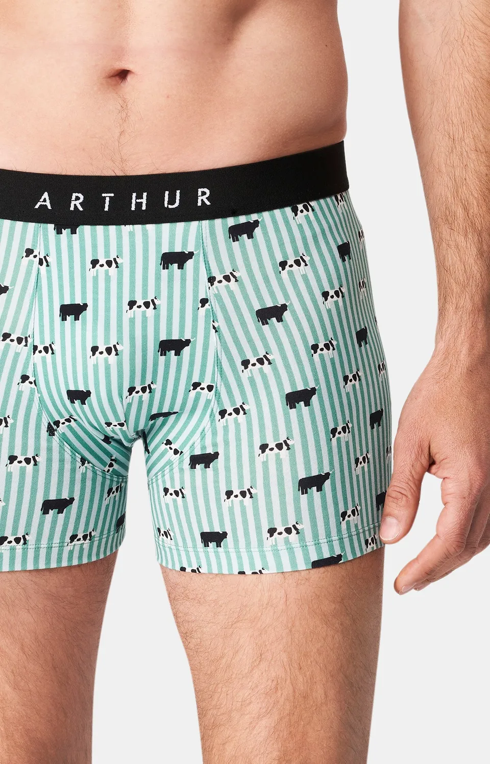 arthur-bob-meeuuh-boxer-coton-bio-vert image 1