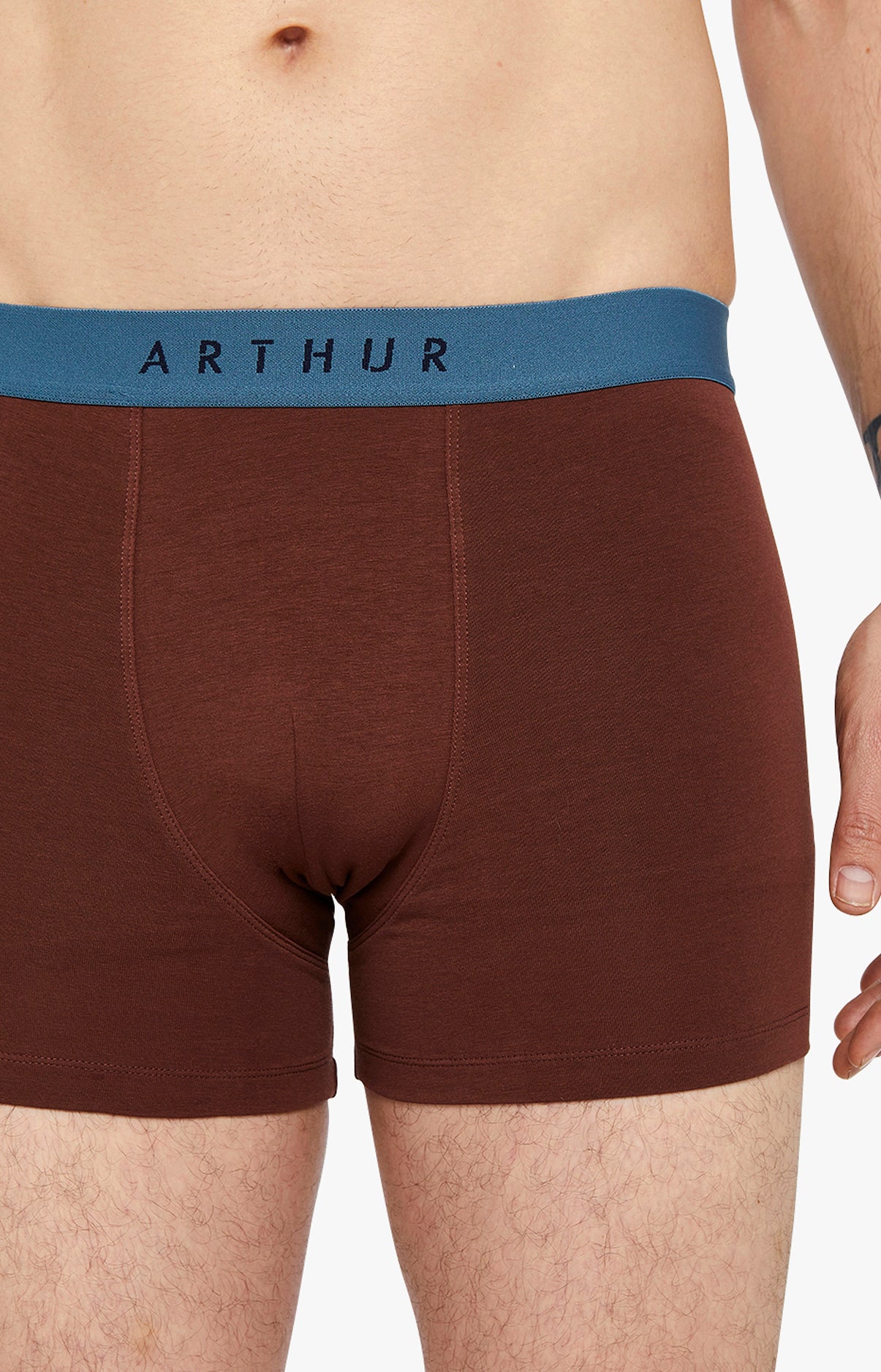 arthur-bob-boxer-coton-chocolat-uni-s-xxl image 1
