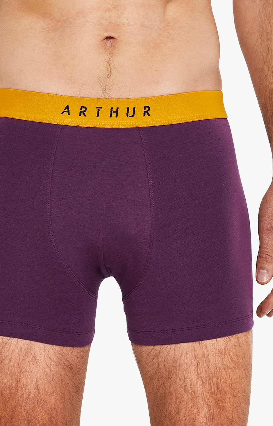 arthur-bob-boxer-coton-aubergine-taille-l-homme image 1