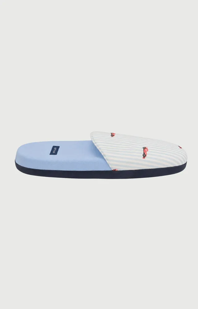 arthur-bob-le-grand-prix-du-sommeil-pantoufles-ciel-39-42-coton-bio image 1