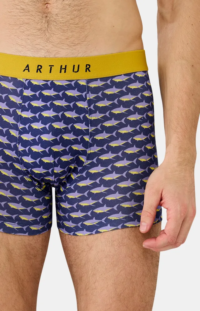 arthur-bob-requin-des-mers-boxer-homme-marine-microfibre image 1