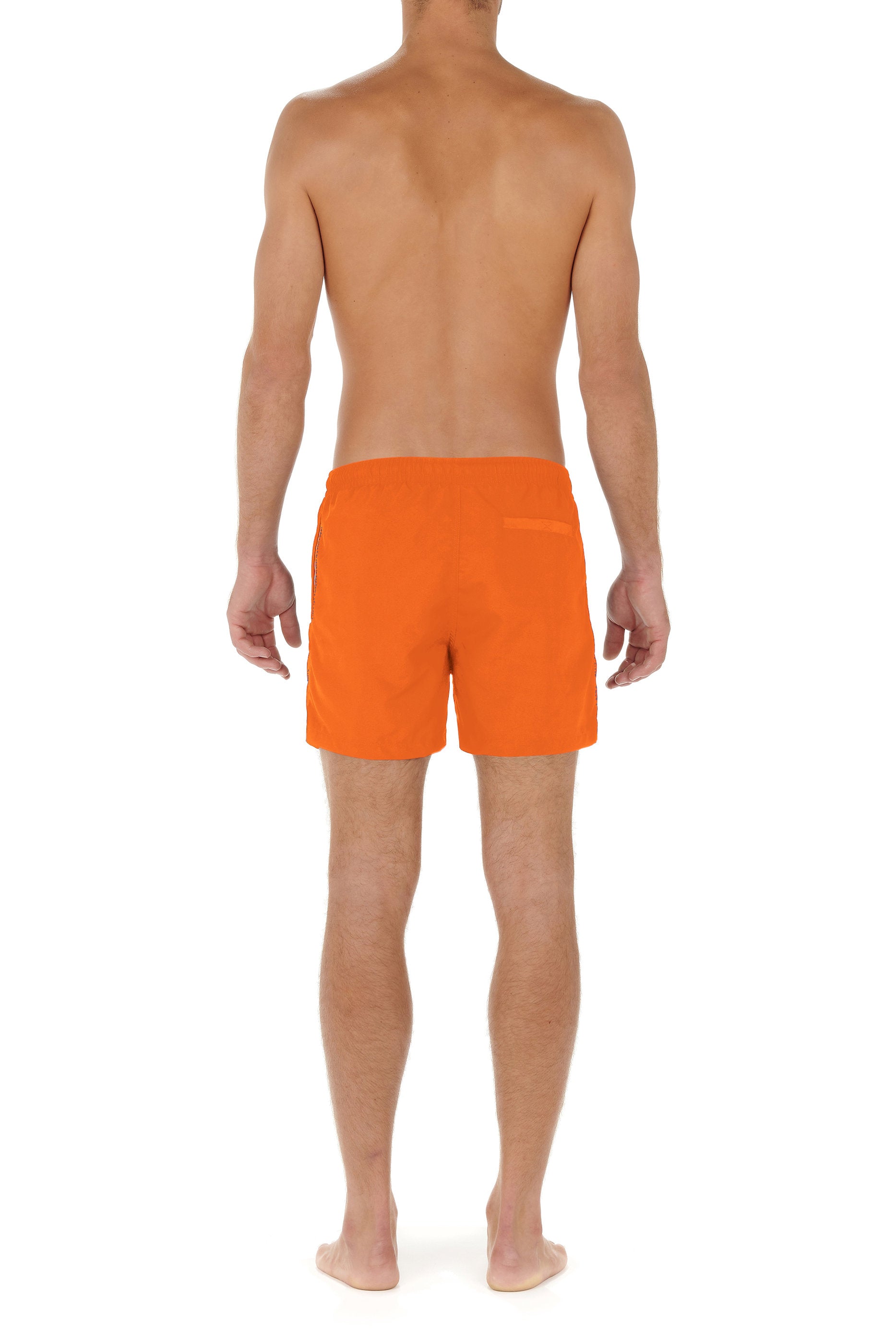 hom-sea-life-402537-401035-boxer-plage-orange image 6