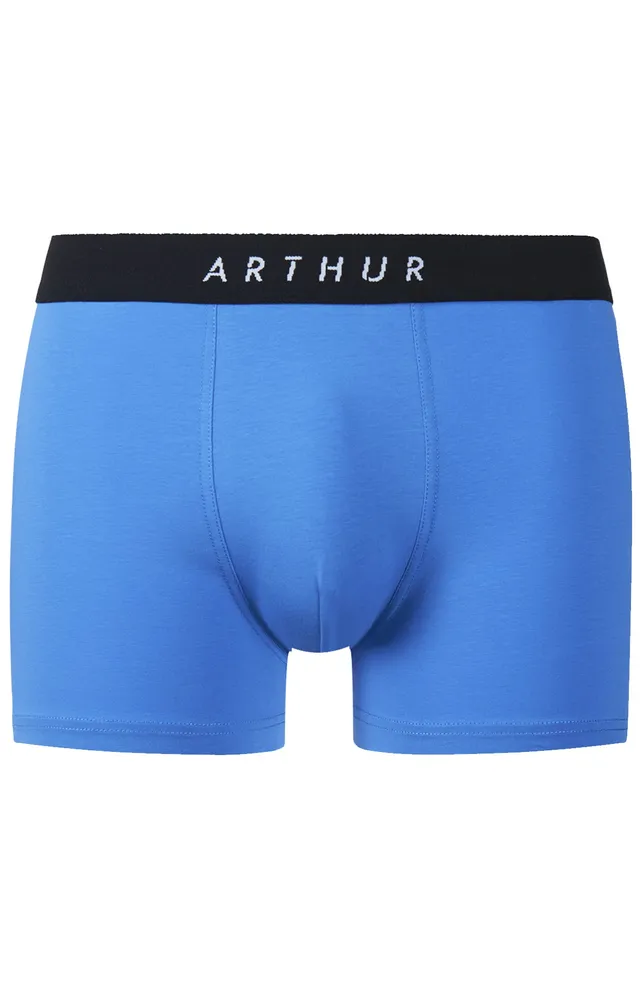 arthur-bob-skinny-avion-boxer-coton-uni image 1