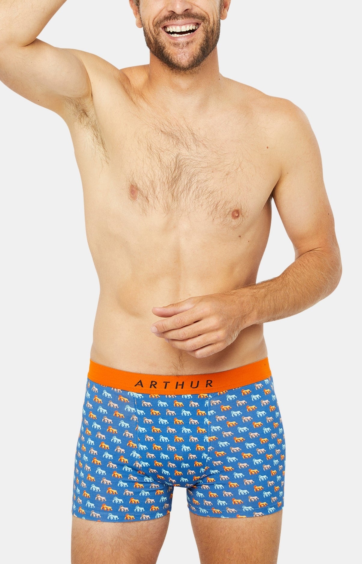 arthur-bob-gorille-boxer-coton-bio-bleu image 2