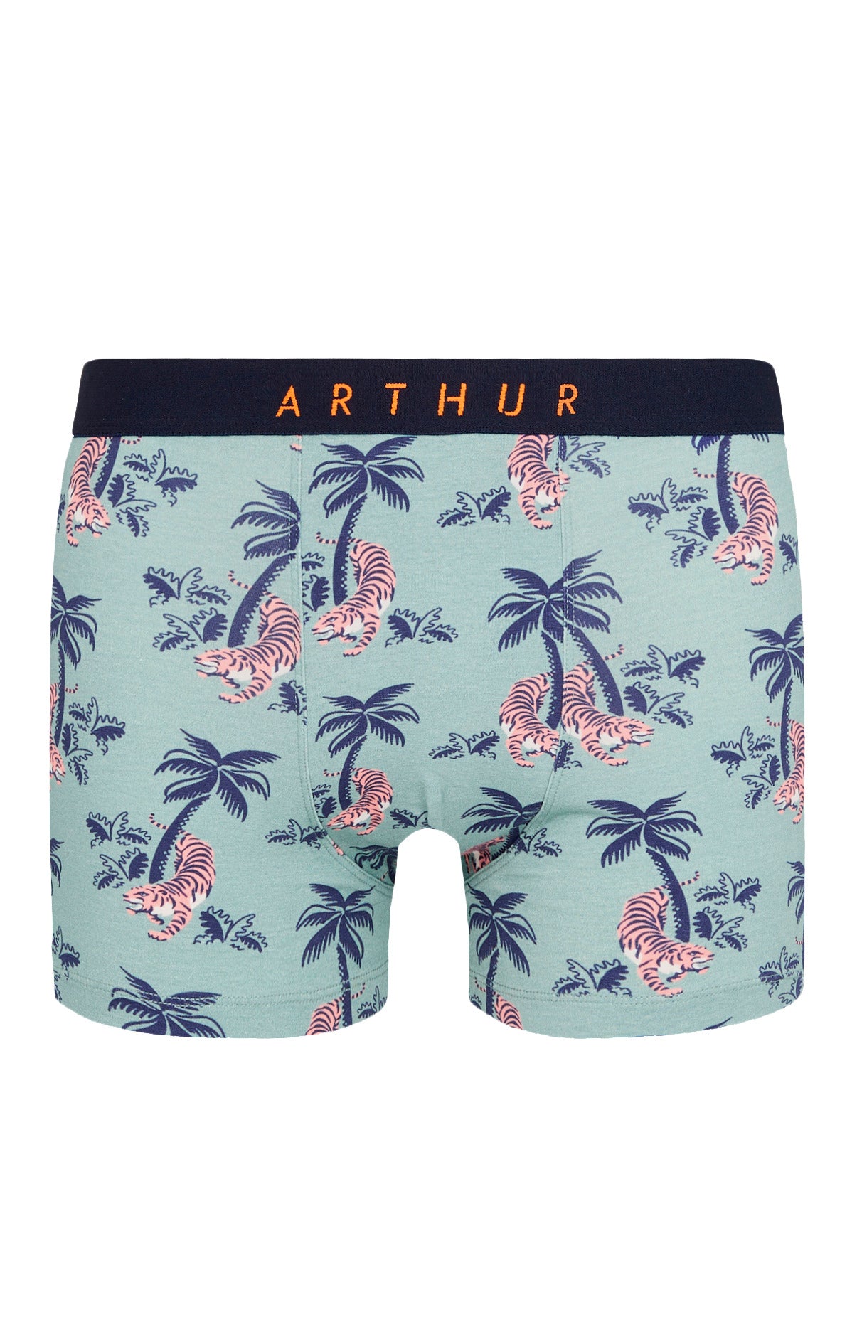 arthur-bob-boxer-fauve-qui-peut-kaki-l-coton-bio image 3