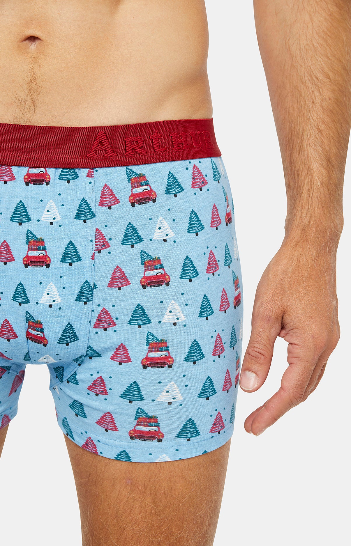 arthur-bob-sapin-boxer-homme-jean-coton-fantaisie image 2