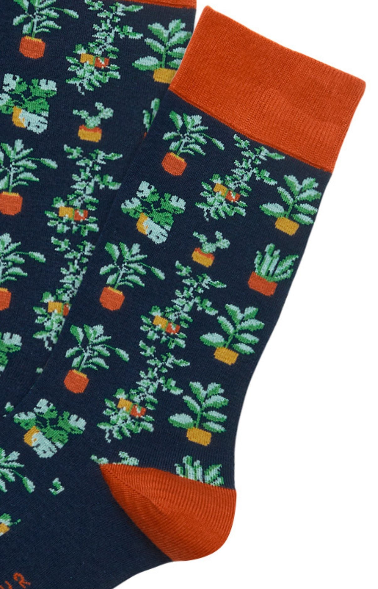 arthur-bob-chaussettes-botanic-marine-40-46-coton image 2