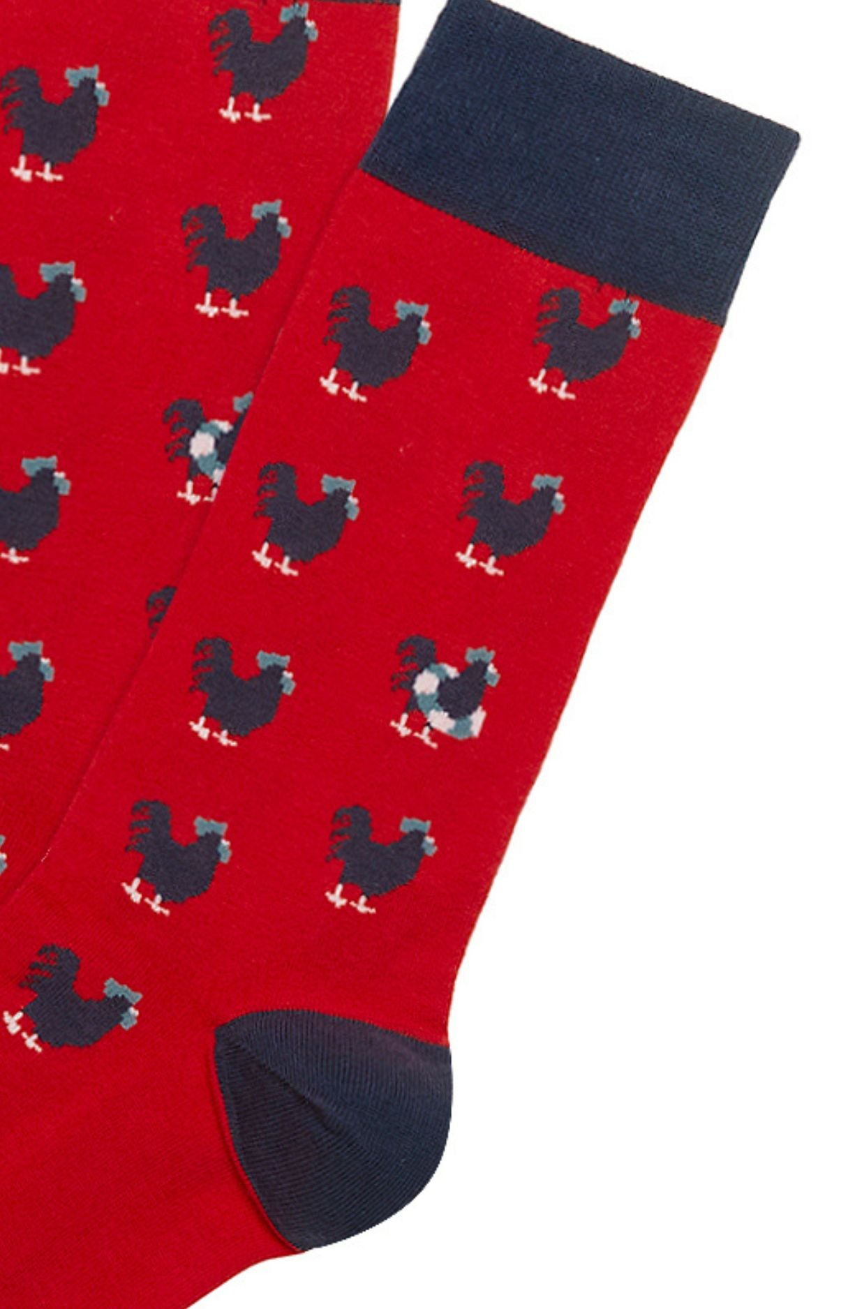arthur-bob-coq-chaussettes-homme-rouge-coton-bio image 2