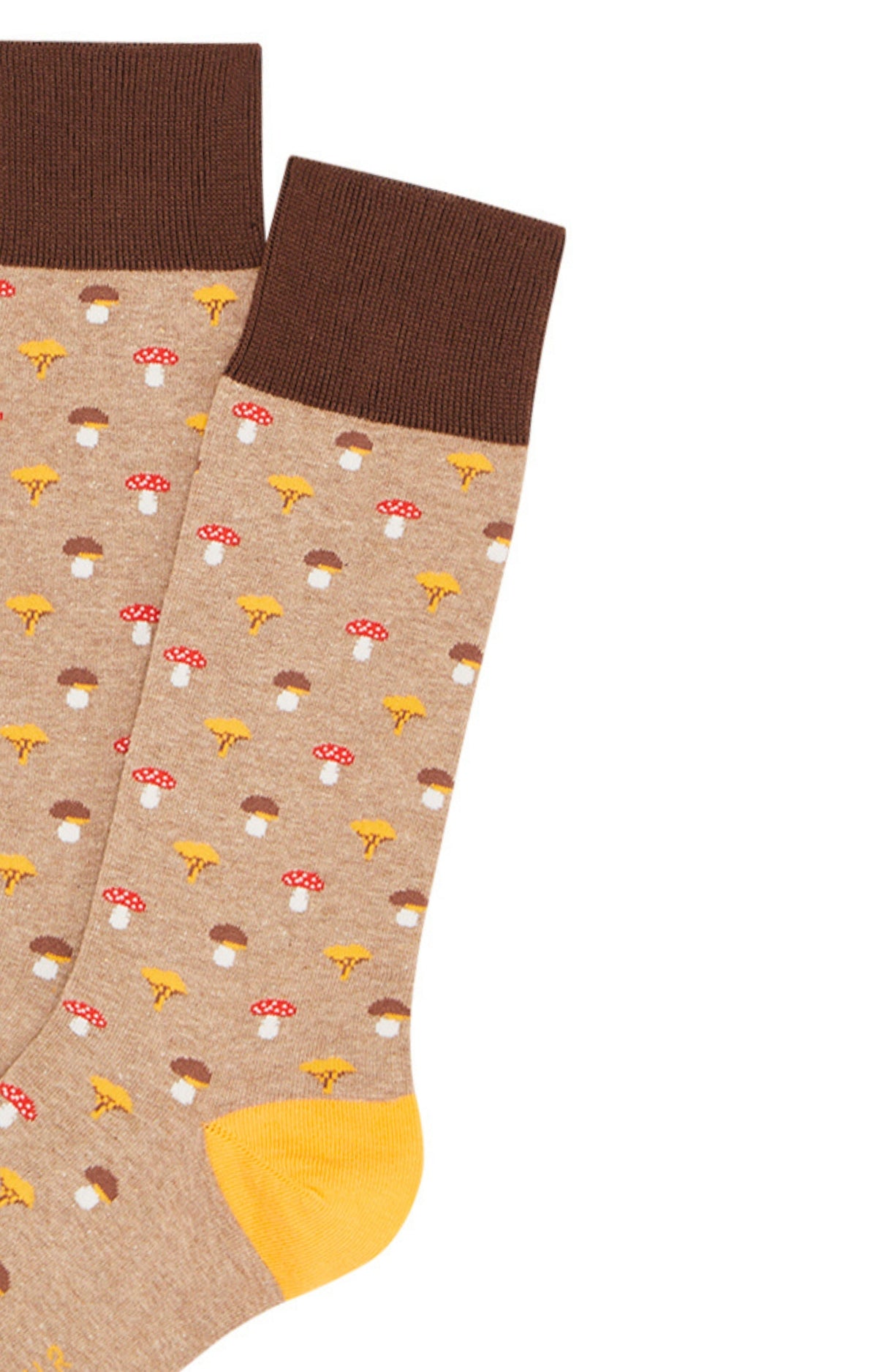 arthur-bob-mushroom-chaussettes-homme-beige-coton-mi-hautes image 2