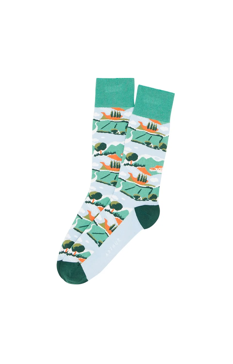 arthur-bob-campagne-chaussettes-homme-coton-vert image 1