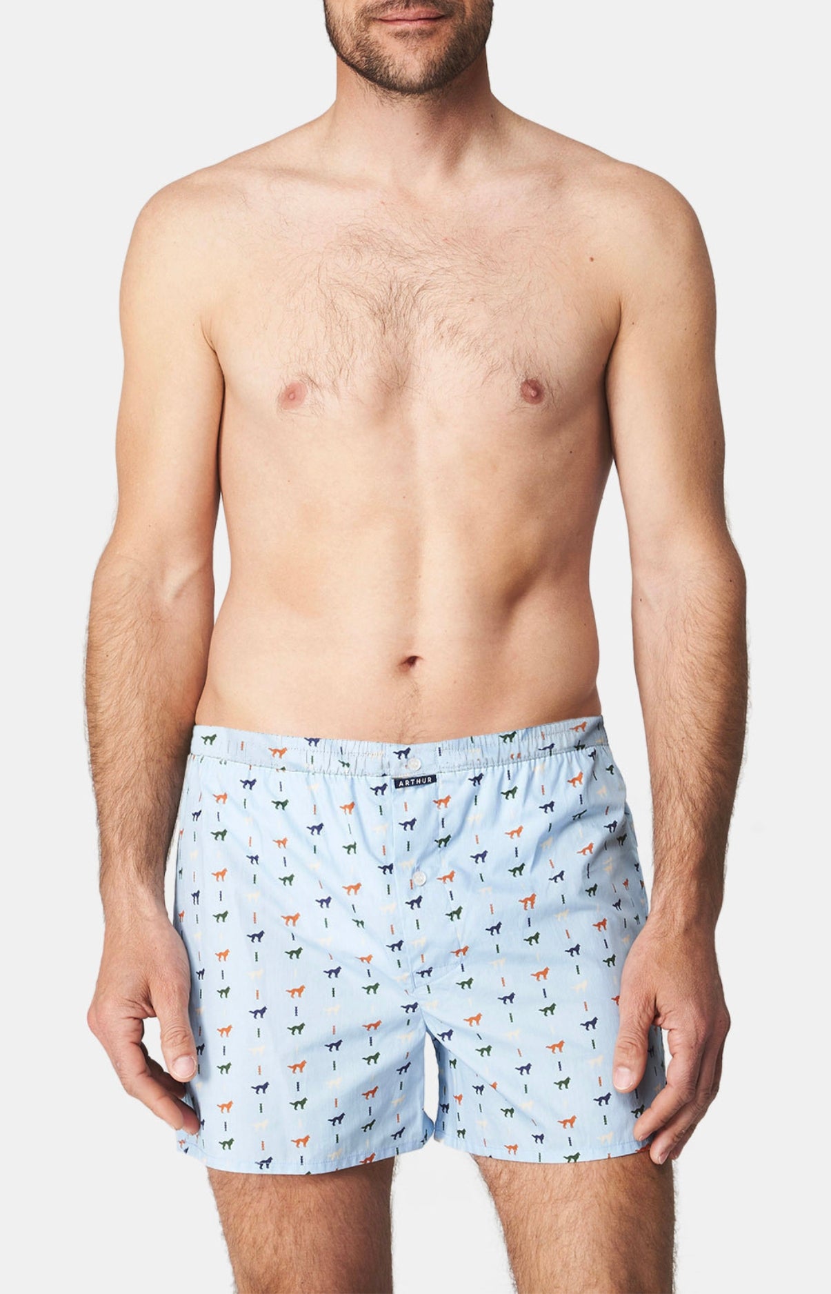 arthur-le-club-jeune-loup-cale-on-coton-ciel-s-xxl image 2