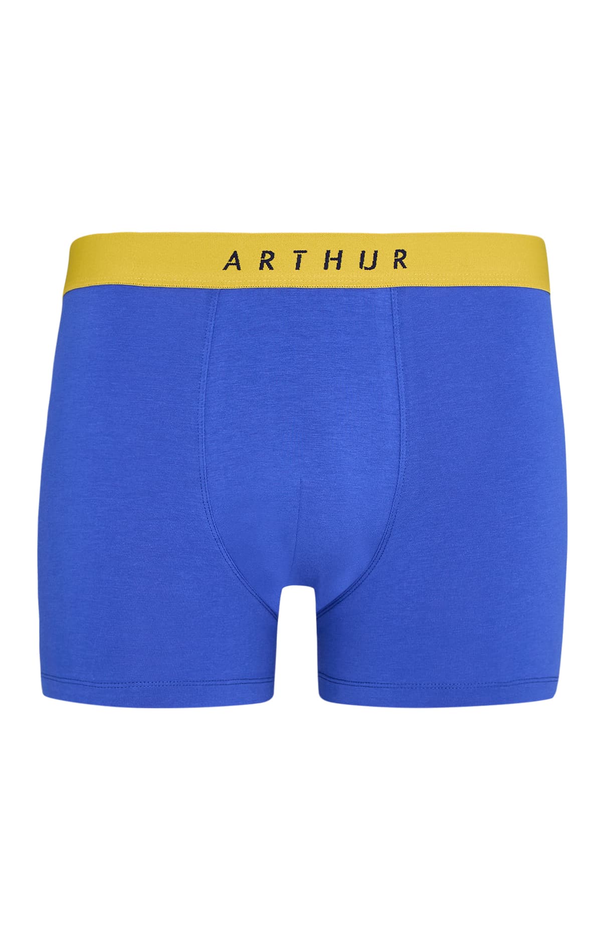 arthur-bob-roi-boxer-homme-coton-bio image 3