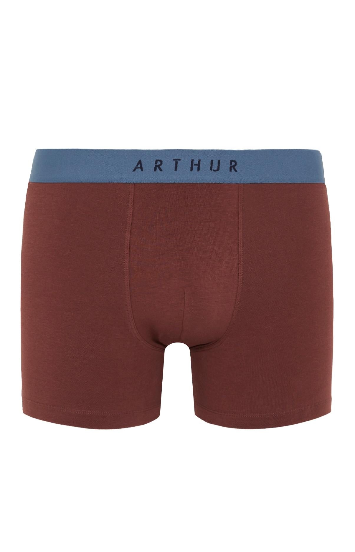 arthur-bob-boxer-coton-chocolat-uni-s-xxl image 3